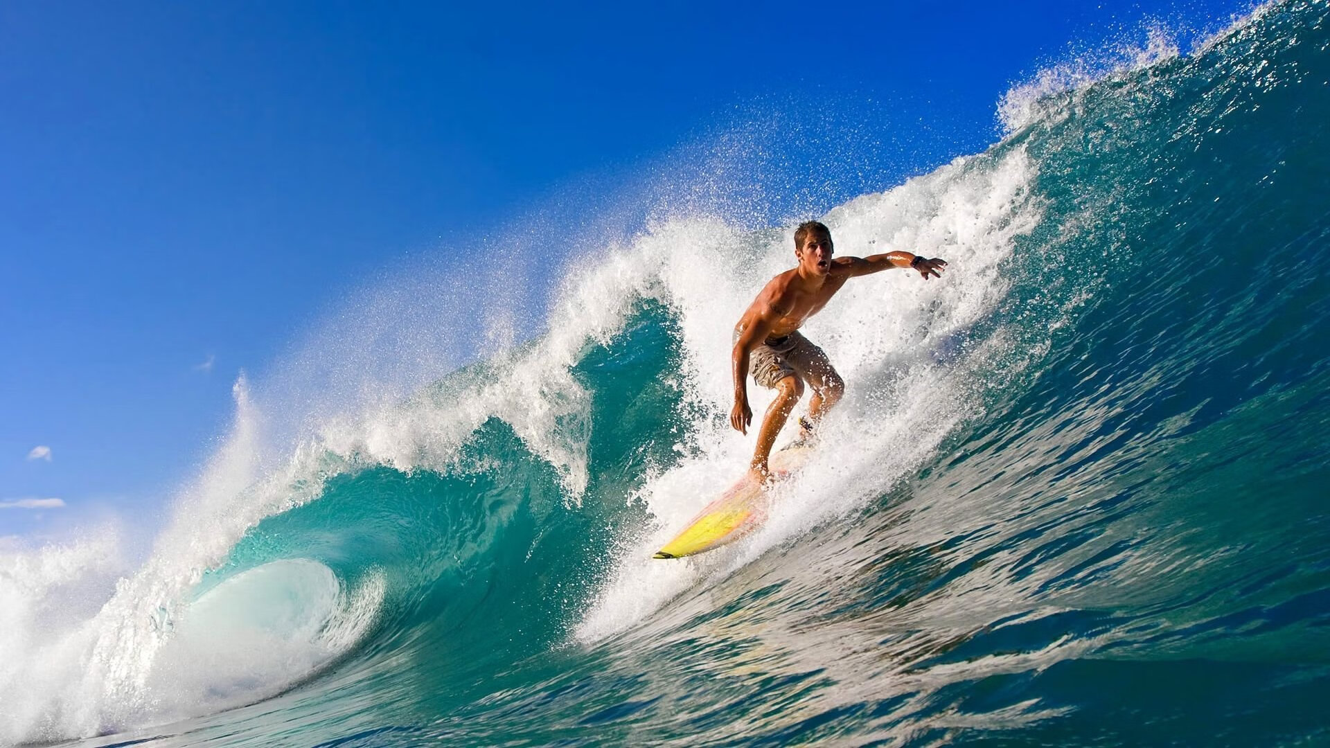 爱游戏体育账号注册-维尔·冯·威克：在高强度对抗中脱颖而出，成为南非队锋线支柱，维尔纳冯布隆贝格